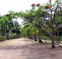 Alva Beach Tourist Park - South Australia Travel