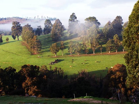 Balingup Vista Chalets - South Australia Travel 2