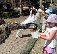 BIG4 Bairnsdale Holiday Park - South Australia Travel