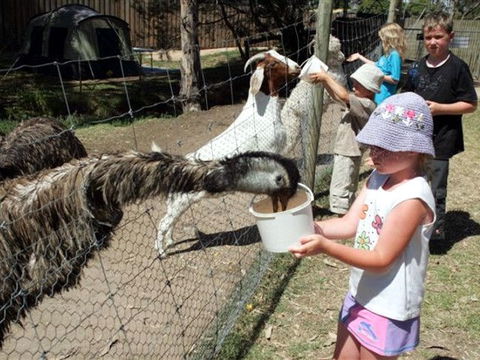 BIG4 Bairnsdale Holiday Park - South Australia Travel 0