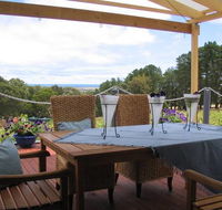 Blue Grape Vineyard Accommodation - South Australia Travel