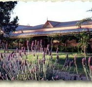 Bluebush Estate - South Australia Travel