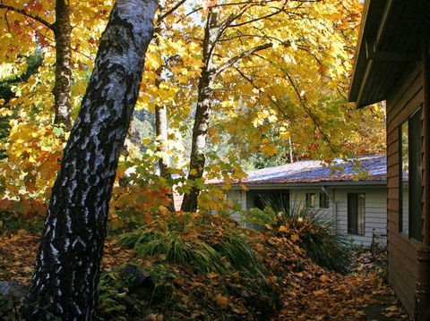 Bogong Village - South Australia Travel 0