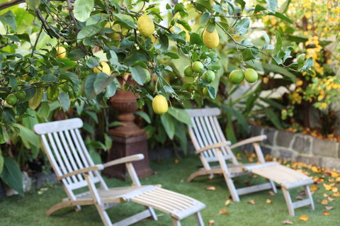 Captains Retreat B&B - South Australia Travel 1