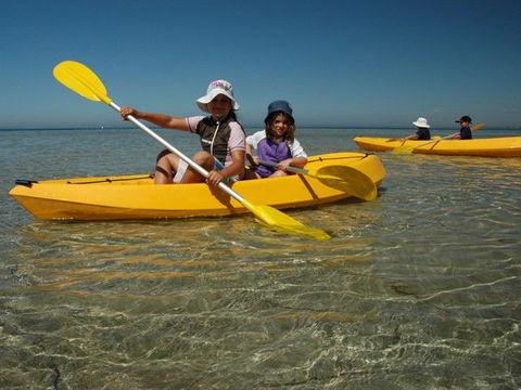 Ceduna Shelly Beach Caravan Park - South Australia Travel 4