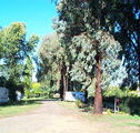 Cudal Caravan Park - South Australia Travel