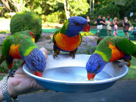 Currumbin Sands Beachfront Apartments - South Australia Travel 1