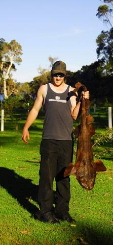 Denmark Rivermouth Caravan Park - South Australia Travel 4