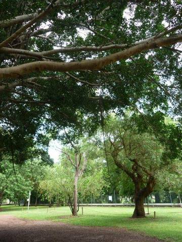 Discovery Holiday Parks - Darwin - South Australia Travel 10