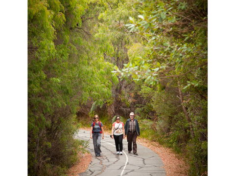 Hanover Bay - South Australia Travel 7