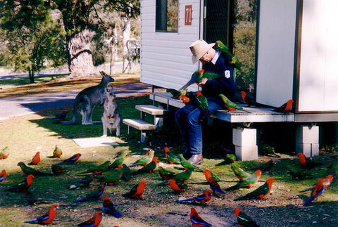 Inland Waters Holiday Parks Burrinjuck - South Australia Travel 0