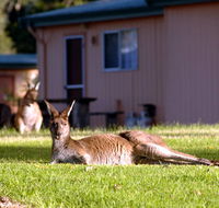 Kalgan River Chalets  Caravan Park - South Australia Travel