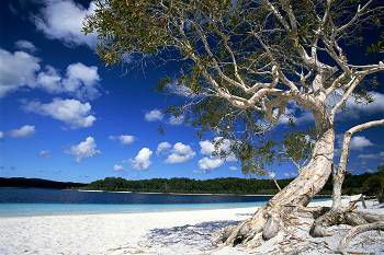 Mercure Kingfisher Bay Resort - South Australia Travel 9