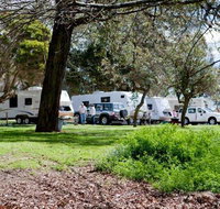 Moss Vale Village Caravan Park - South Australia Travel