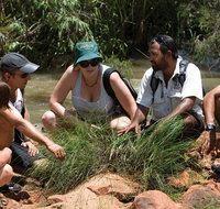 Nitmiluk Tours  Accommodation - South Australia Travel