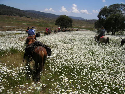 Reynella Kosciusko Rides Homestead - South Australia Travel 8