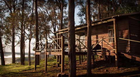 Balingup Heights Hilltop Forest Cottages - South Australia Travel 6