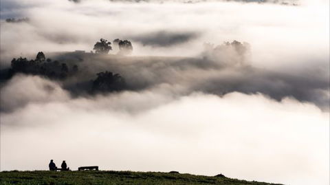 Balingup Heights Hilltop Forest Cottages - South Australia Travel 9