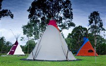 Aranyani Bison Adventure Tourist Park - South Australia Travel 1
