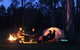 Aranyani Bison Adventure Tourist Park - thumb 2