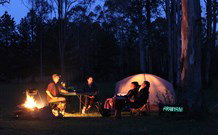 Aranyani Bison Adventure Tourist Park - South Australia Travel 2