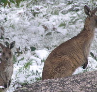 Barokee campground - South Australia Travel
