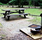 Bellbird campground - South Australia Travel