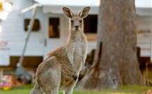 BIG4 Sunshine South West Rocks Holiday Park - South - South Australia Travel 3