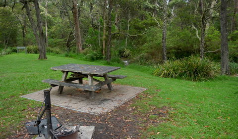 Chaelundi Campground - South Australia Travel 0