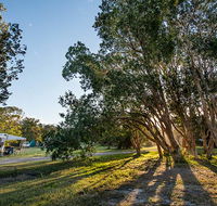 Delicate campground - South Australia Travel