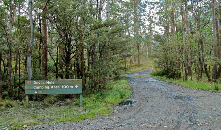 Barrington Tops NSW South Australia Travel