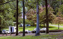 Dingo Tops Campground - South Australia Travel 1