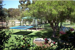 Tarcutta Halfway Motor Inn/Horse Hotel - South Australia Travel 5