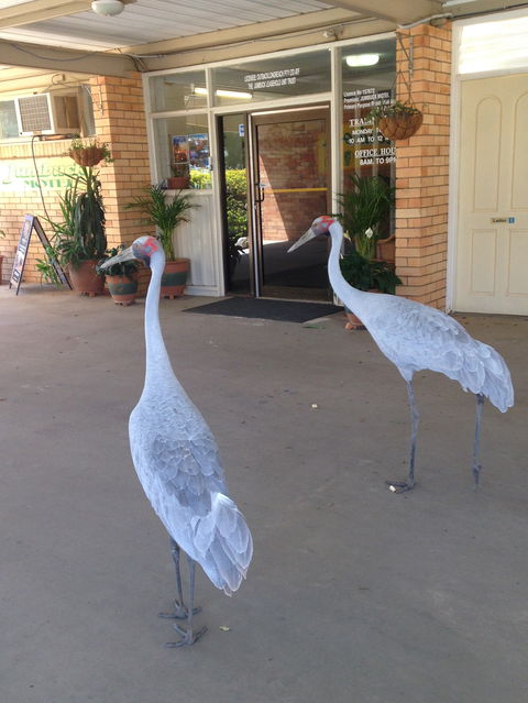 Jumbuck Motel Longreach - South Australia Travel 2