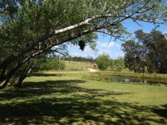 The Knoll Moruya - South Australia Travel 4