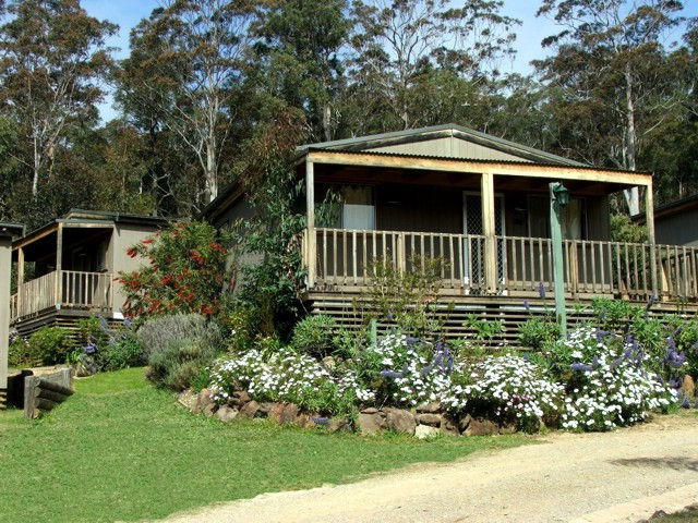 Mogo NSW South Australia Travel