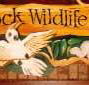 Wave Rock Hotel Motel - South Australia Travel