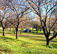 Wellington Caves Caravan Park - South Australia Travel