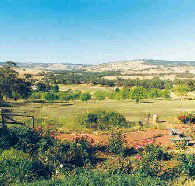 Pecan Hill Bed and Breakfast - South Australia Travel