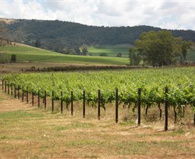 Acacia Park Farm House - South Australia Travel 7