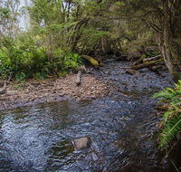Horse Swamp campground - South Australia Travel