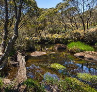 Junction Pools campground - South Australia Travel