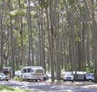 Mystery Bay Camping Area - South Australia Travel