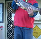 Rainbow Pines Tourist Caravan Park - South Australia Travel