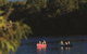 Solitary Island Marine Park Resort - thumb 3