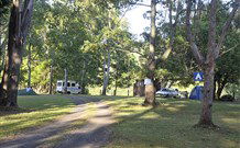 The Channon Village Campground - South Australia Travel 0