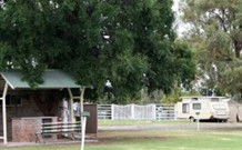 Warialda Caravan Park - South Australia Travel 0