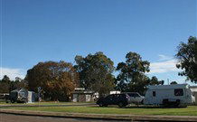 Warialda Caravan Park - South Australia Travel 2