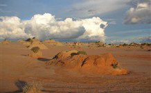 Mungo Lodge Tours And Accommodation - South Australia Travel 7