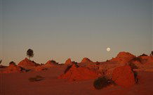 Mungo Lodge Tours And Accommodation - South Australia Travel 8